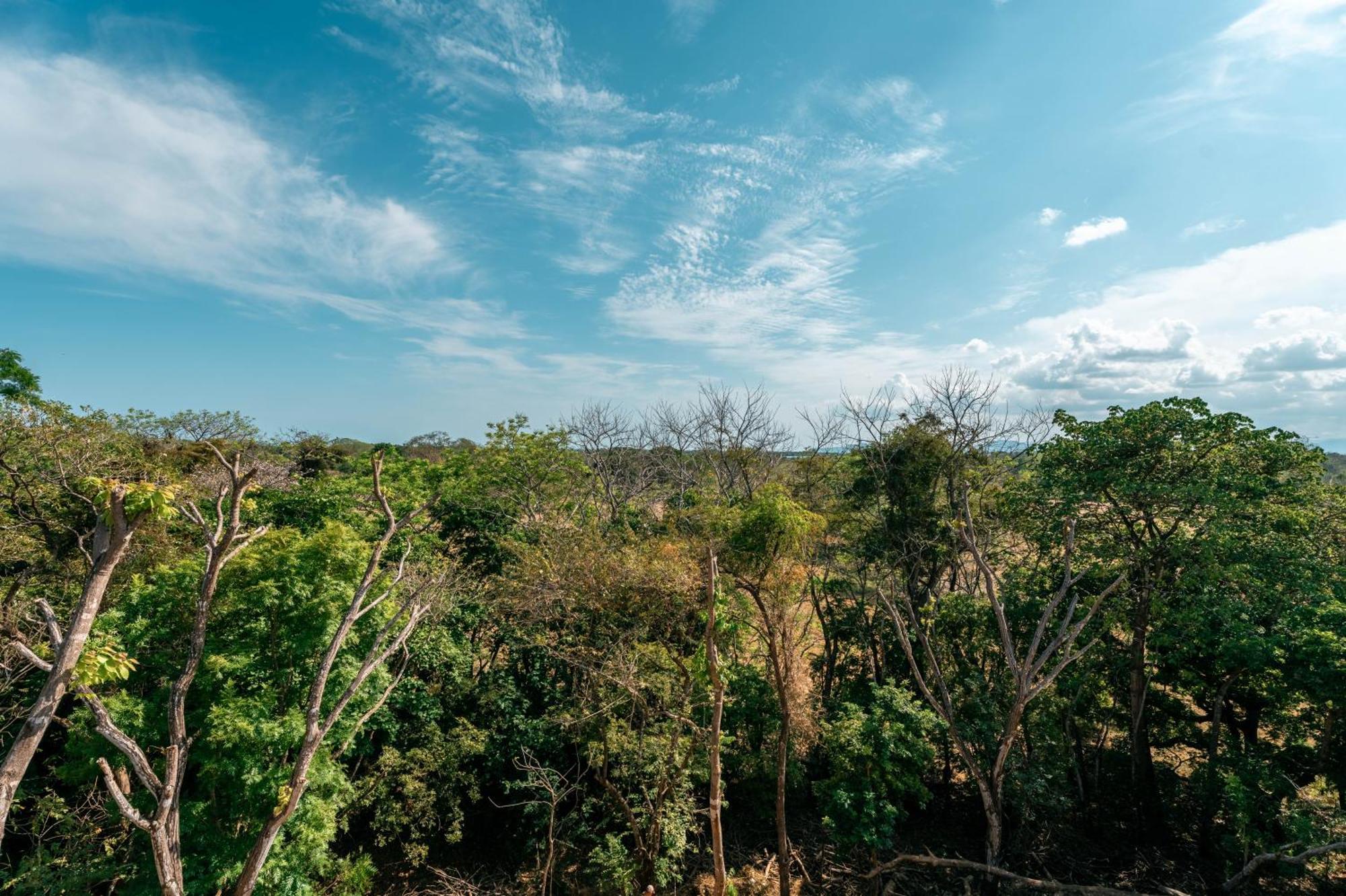 Alaya Yoga & Surf & Retreat Hotell Playa Venao Exteriör bild